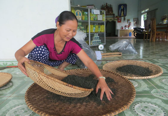 Đổi thay từ những “mùa” Festival 